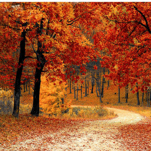 3 Amazing Countries to Visit Solo This Fall (2025 Edition) - Thafael