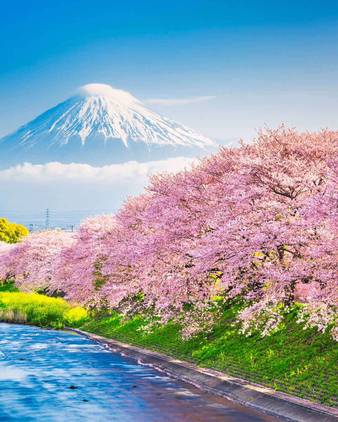 Top 4 "Elevacation" Destinations for Women in 2025: Find Your Peak Experience - Thafael 
